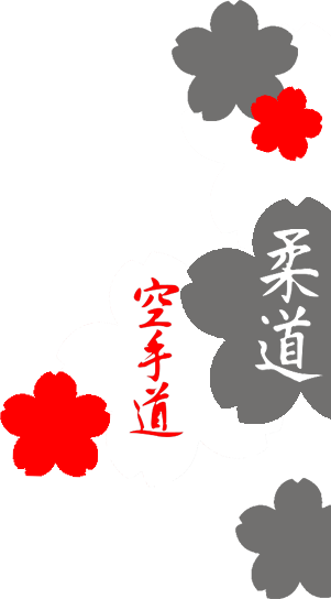 Shudokan Austria - Verein für Judo und Karate - Hintergrundbild Shudokan Austria - Verein für Judo und Karate - Hintergrundbild